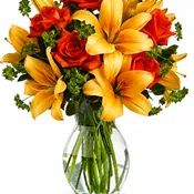 Fiery Lily and Rose