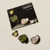Cotan Magnet Set