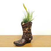 Cowboy Boot Medium With Air Plant