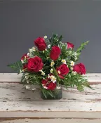 12 RED ROSE SHORT