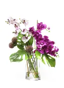 Raining Purple
