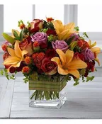 ABUNDANT FALL