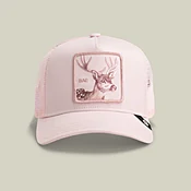 Bae Trucker