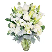 BEAUTIFUL WHITE