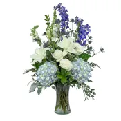 Blue Beauty - TMF-1439