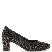 72.152.67 LEOPARD