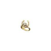 0.50 carat Double Horseshoe Motion Ring