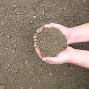 Screened Topsoil