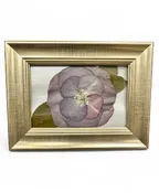 4X6 PRESSED FLORAL DESIGN
