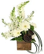 COZY CHARM