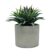 16" Agave Red Tipped Leaf in Cement Gray Ceramic