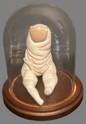 Action Finger