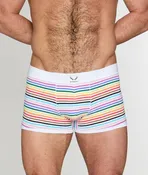 Bluebuck Pride Stripe Trunk