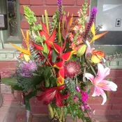 Exotic Arrangement #1