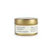 Anecdotal Coconut Soy Wax Travel Tin Candle