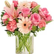 Efflorescence in Bloom