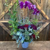 Orchid Delight Floral Arrangement