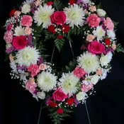 Cheerful Open Heart