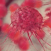 Biopads