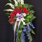 Red, White, and Blue Spray