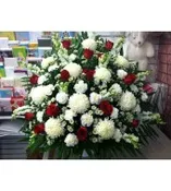 B-2: Passionate Sorrow Floor Basket