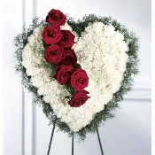 Bleeding Heart