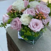 Sweet Garden