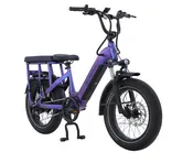 Aima Big Sur U Cargo Electric Fat Tire Bike