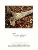 Broadside With Haiku
