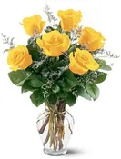 6 Yellow Roses