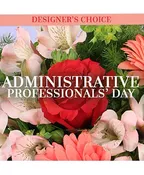 ADMIN PROFESSIONAL'S
