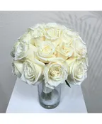 24 ROSE
