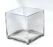4 Inch Cube Vase