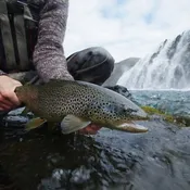 Orvis Week In Iceland With Fish Partner At Highland Lodge