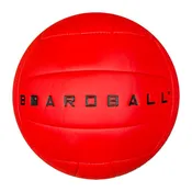 Boardball Volleyball