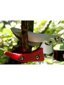 4' Reach Pruner