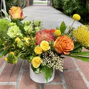 Citrus {Designer's Choice}
