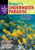 A Pocket Guide to Hawaii’s Underwater Paradise
