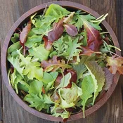 ‘Mesclun Mix’ Lettuce & Mustard Greens