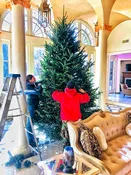 Highrise Holiday Package