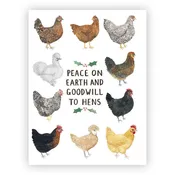 Chickens Holiday Greeting Card