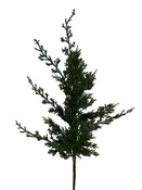 20.5" Arborvitae Cedar Spray