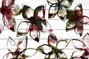 A Floral Pattern