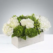 The Hamptons by BloomNation™