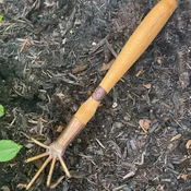 Bronze Weeder — Hedgerow