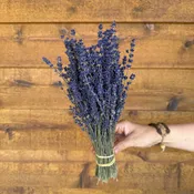 English Lavender - Dark Blue — Charles Little and Company LLC