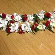 Leis #15