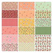 2.5" Strips - Peaches & Cream