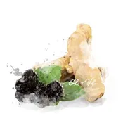 Blackberry Ginger