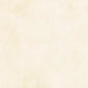 Canvas Flannel Backing - Canvas French Vanilla 108" Wide Backing